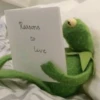 Kermit la rana 23
