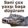 Səni çox yaxşı başa düşürəm