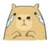 Hey Capybara! 18