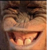 MONKEY 🛐🐵 23