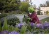 Kermit la rana 27