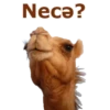 Necǝ?
