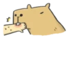 Hey Capybara! 20