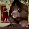 MONKEY 🛐🐵 25