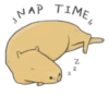 Hey Capybara! 23