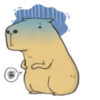 Hey Capybara! 24