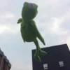 Kermit la rana 29