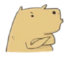 Hey Capybara! 25