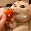 U Me