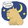 Hey Capybara! 26