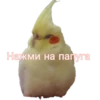 Стики 6587 из 28