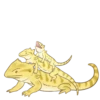 Happy Beardies 28