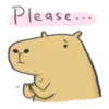 Hey Capybara! 29