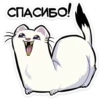 СПАСИБО!
