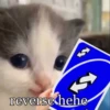 кіт hehe by @txxxic :: 8