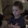 Gavin mu , 5