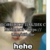кіт hehe by @txxxic :: 9