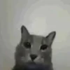 By @stickers_gifs0 & 7