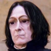 ✧ˎˊ Harry potter Memes• 12