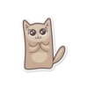 Gray Kitten 14