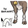 ТЫ БЫКАНУЛ?