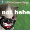 кіт hehe by @txxxic :: 16