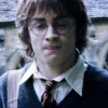 ✧ˎˊ Harry potter Memes• 16