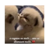 By @stickers_gifs0 & 18