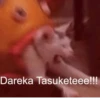 Japanese Animals 10