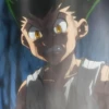 HxH 17