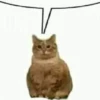 JUHBYLGMLD_by_stikers_du_ark_bot 23