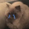 By @stickers_gifs0 & 21