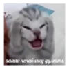 By @stickers_gifs0 & 23