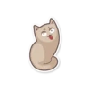 Gray Kitten 20