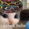 кіт hehe by @txxxic :: 22