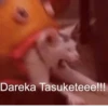 Japanese Animals 12