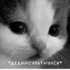 Not Hehe 25
