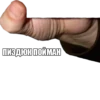 Поймали :: 11