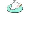 🦋Cuᯭtie RAb͢bit ⸾ 23