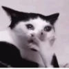 Kittycat :: 22