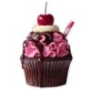 food 24