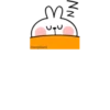 🦋Cuᯭtie RAb͢bit ⸾ 26