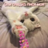 By @stickers_gifs0 & 28