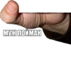 Поймали :: 14