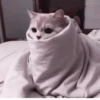 Kittycat :: 26