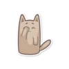 Gray Kitten 29