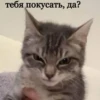 By @stickers_gifs0 & 30