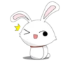 bunny 7