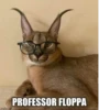 imgflip.com PROFESSOR FLOPPA