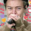 Harry Styles 8